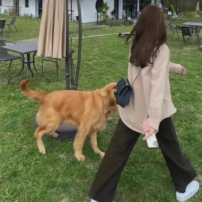 妖怪图鉴